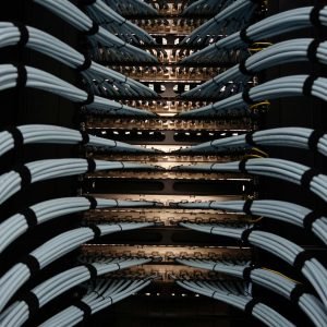 SERVICIOS Organized network server cables for efficient data management.